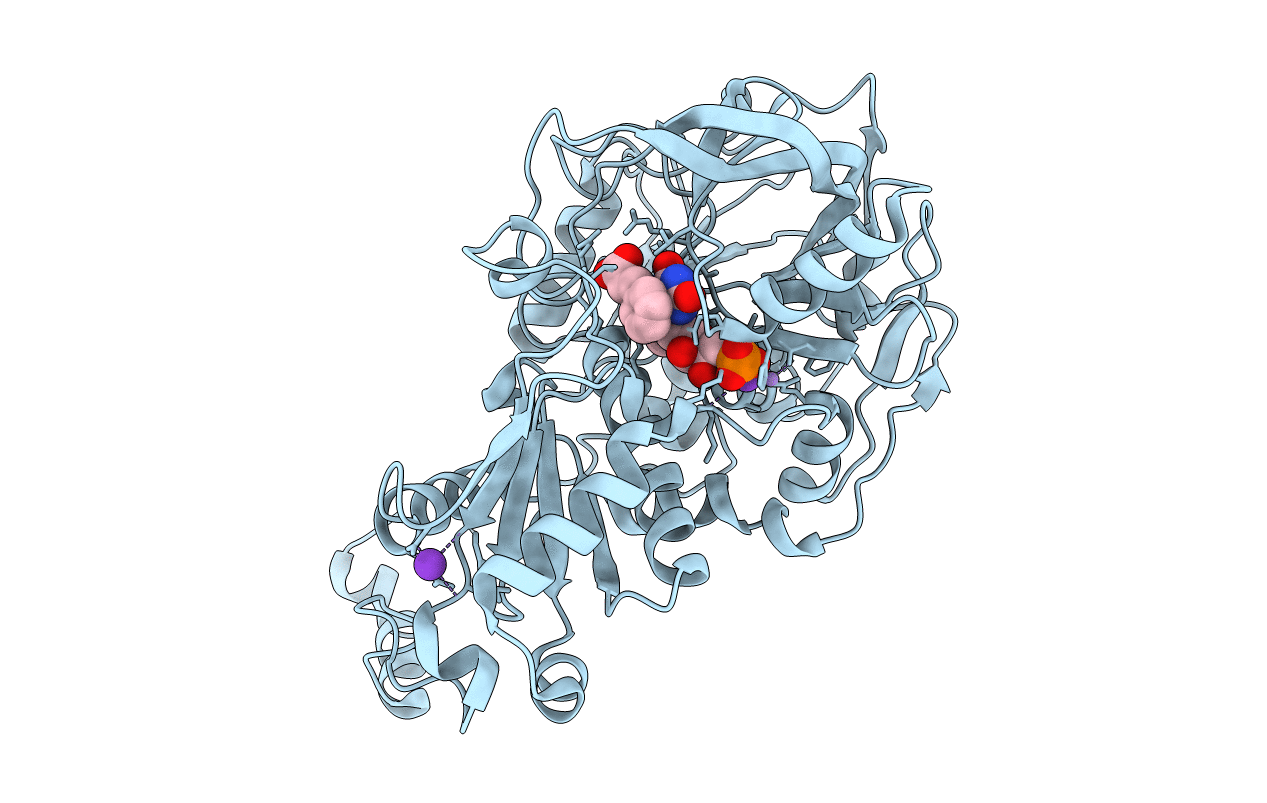 6R2P image