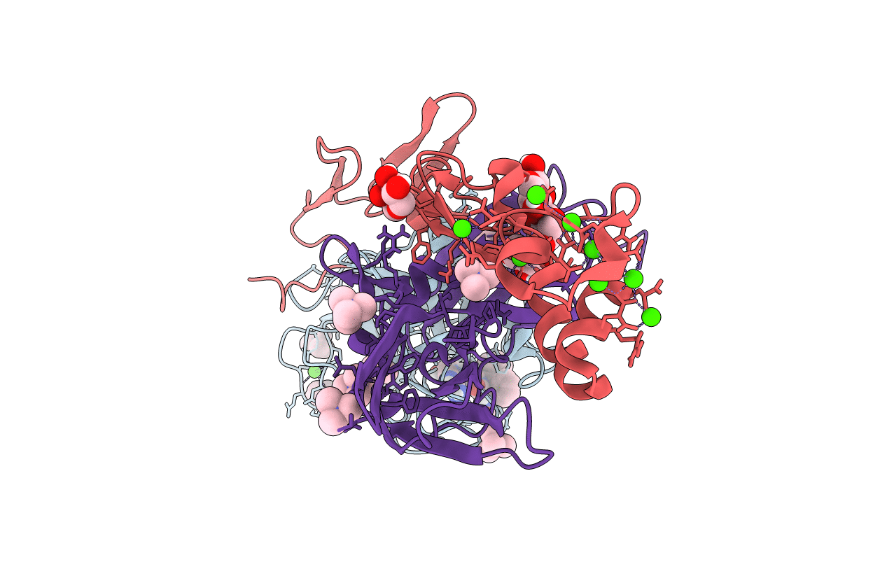 6R2W image