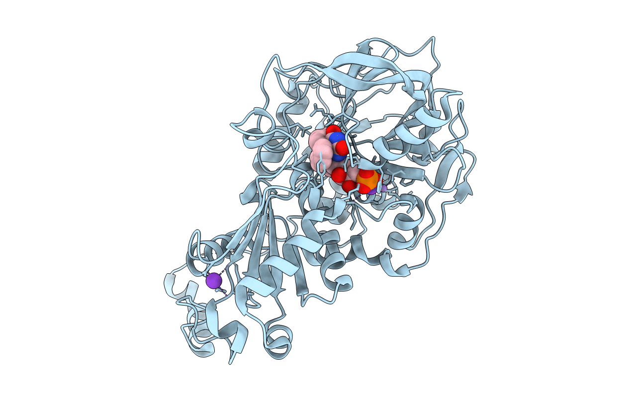 6R33 image
