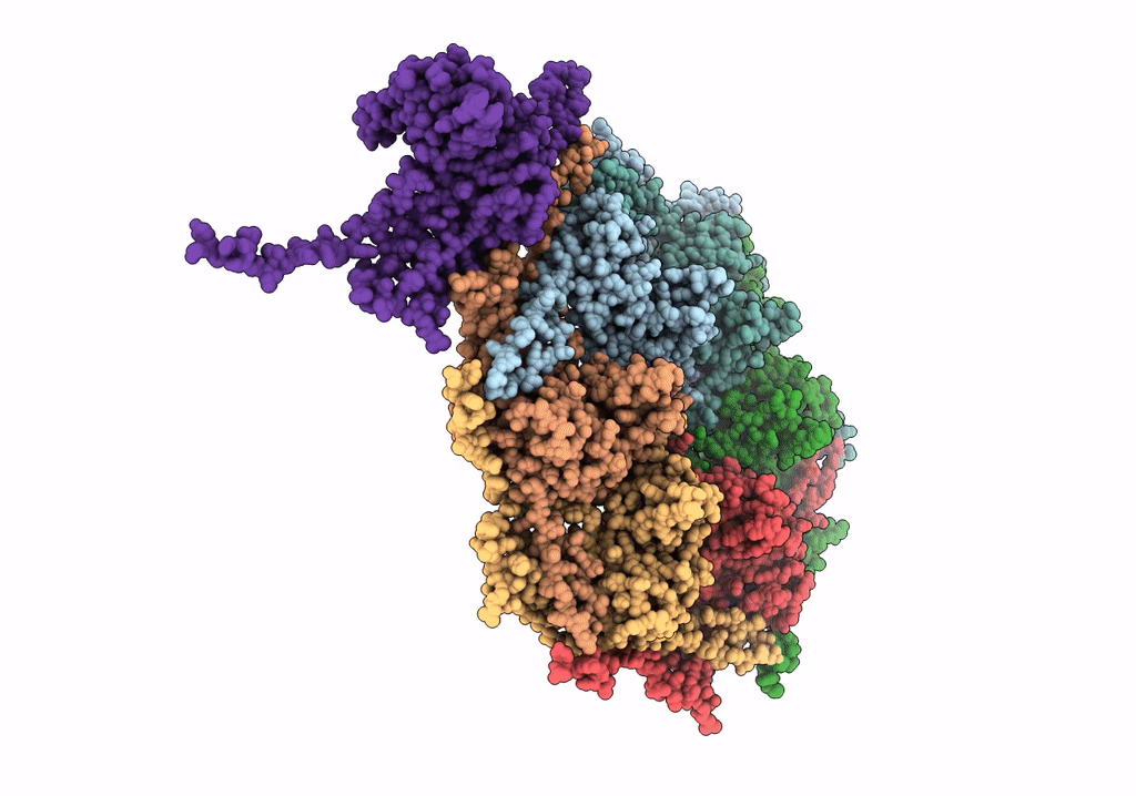 6R3A image