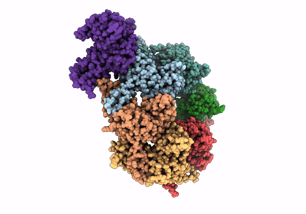 6R3B image