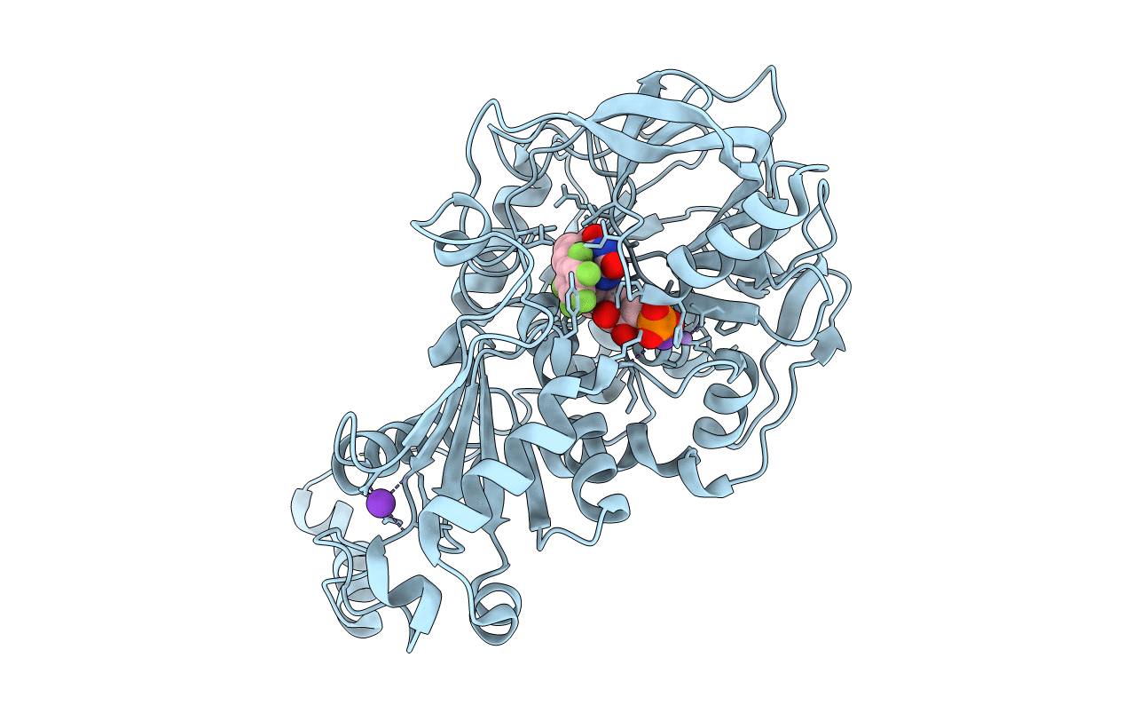 6R3I image