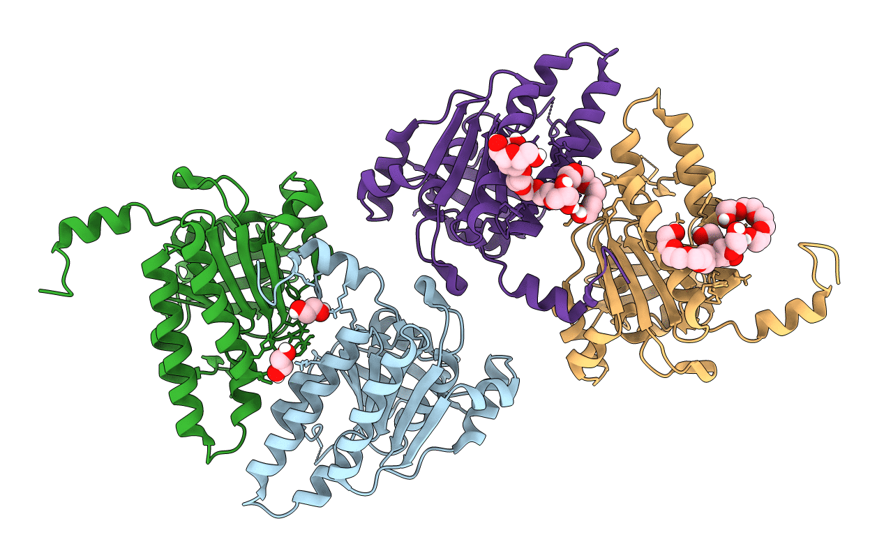 6R3P image