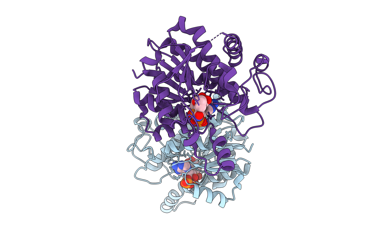 6R48 image