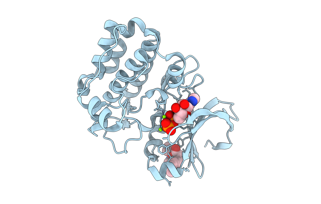 6R4C image