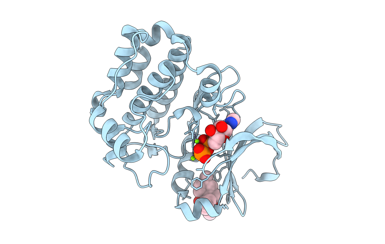 6R4D image