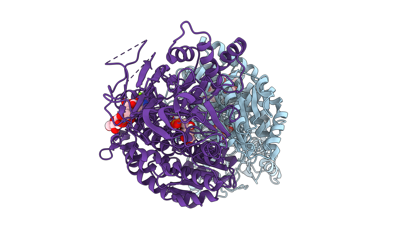 6R4G image