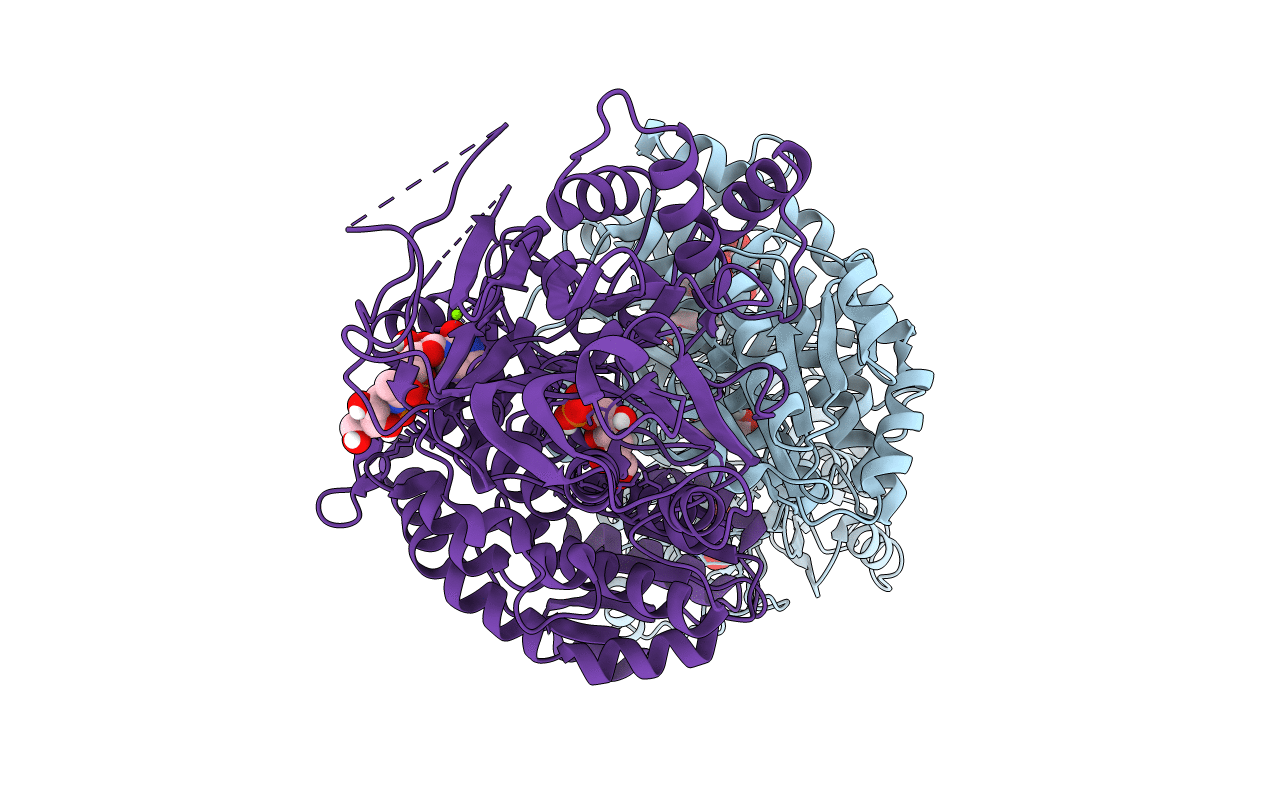 6R4J image