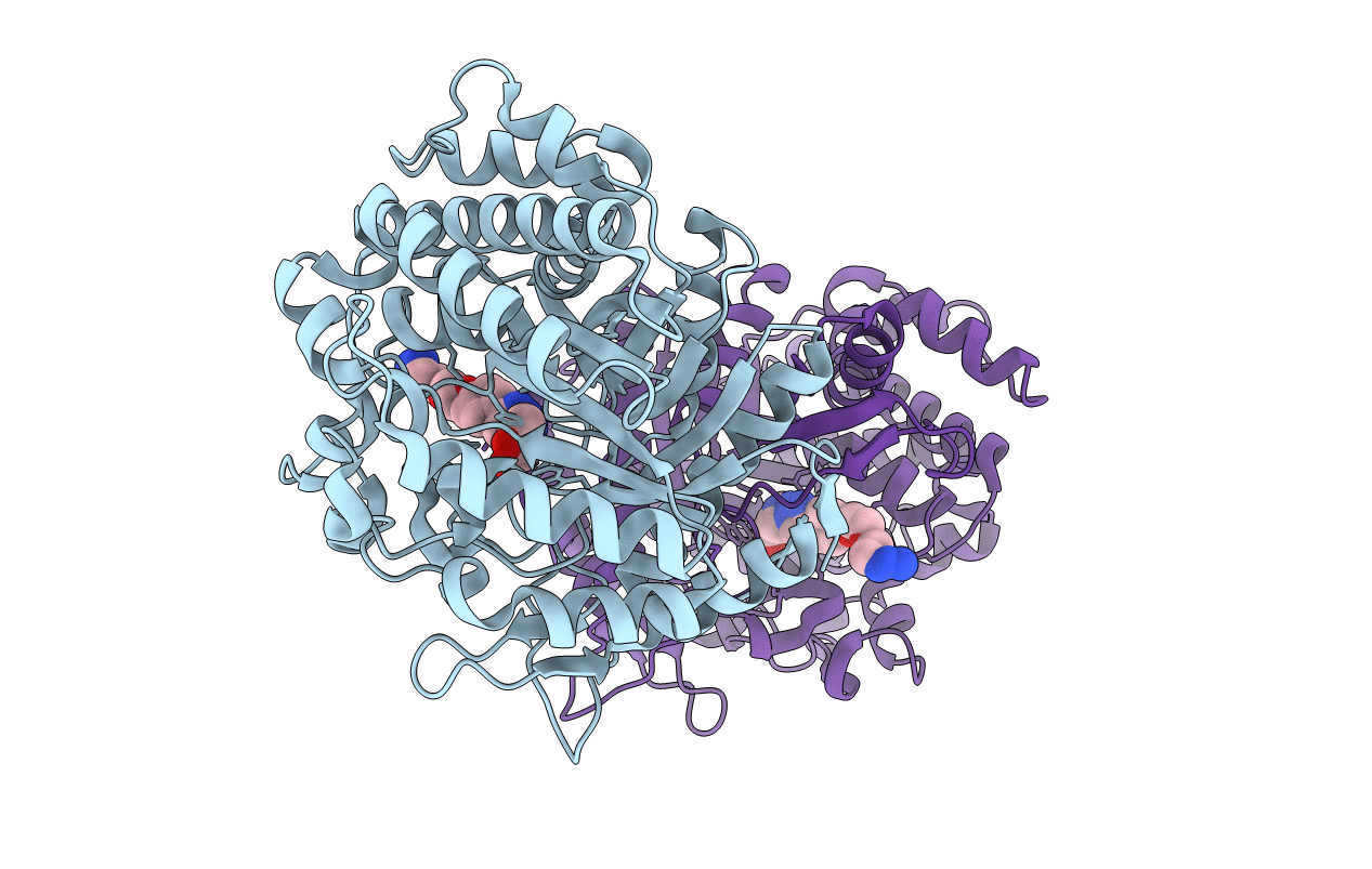 6R4K image