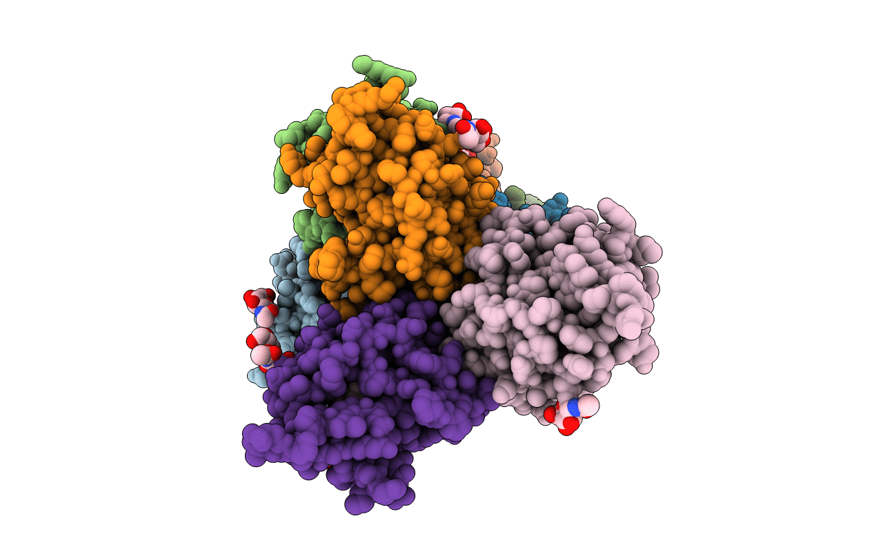 6R4N image
