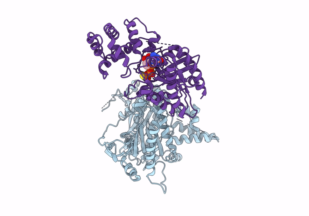 6R4P image