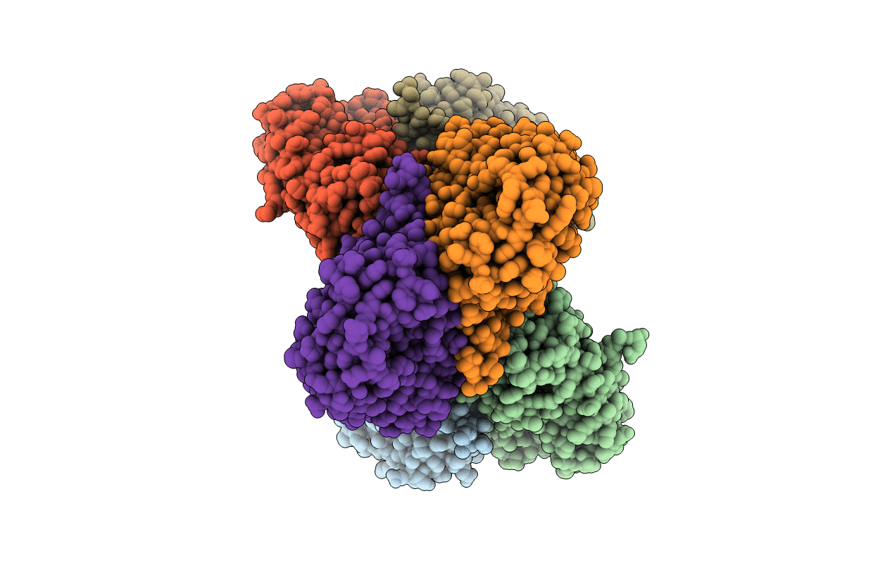 6R4V image