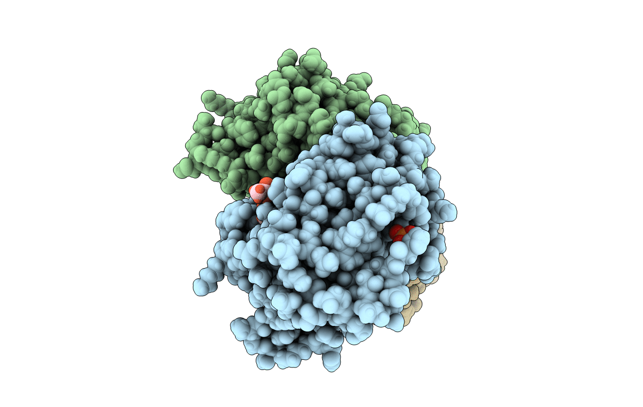 6R51 image