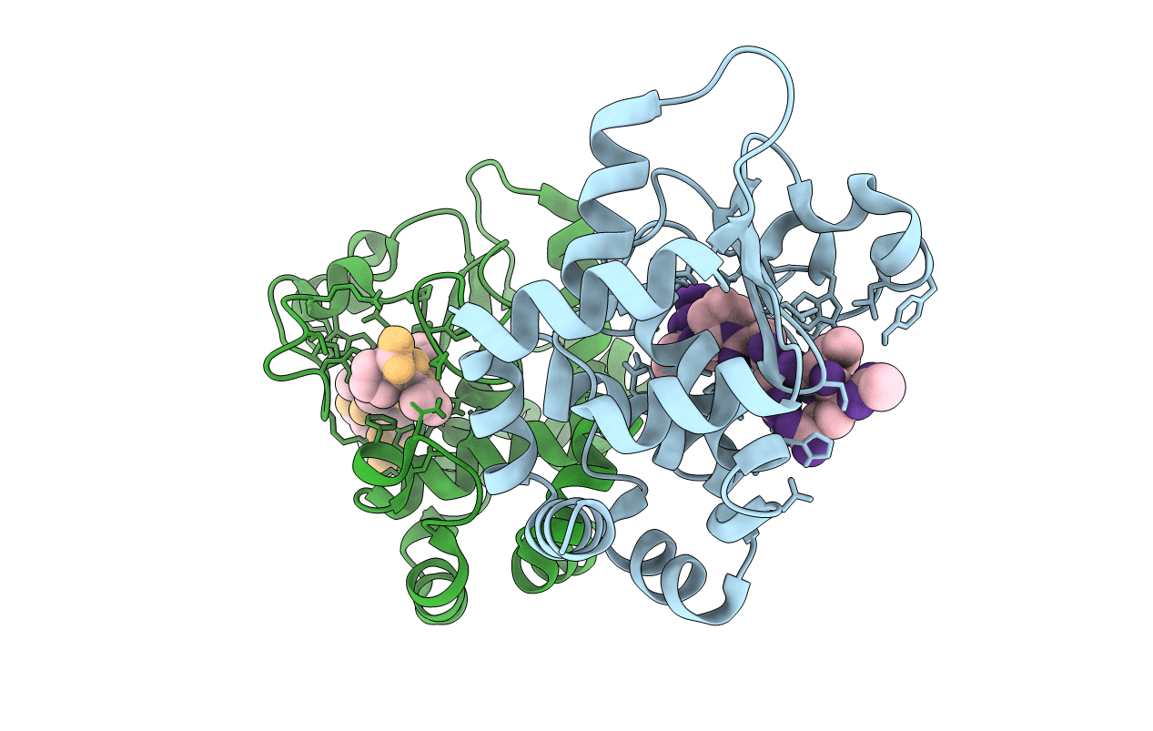 6R5B image