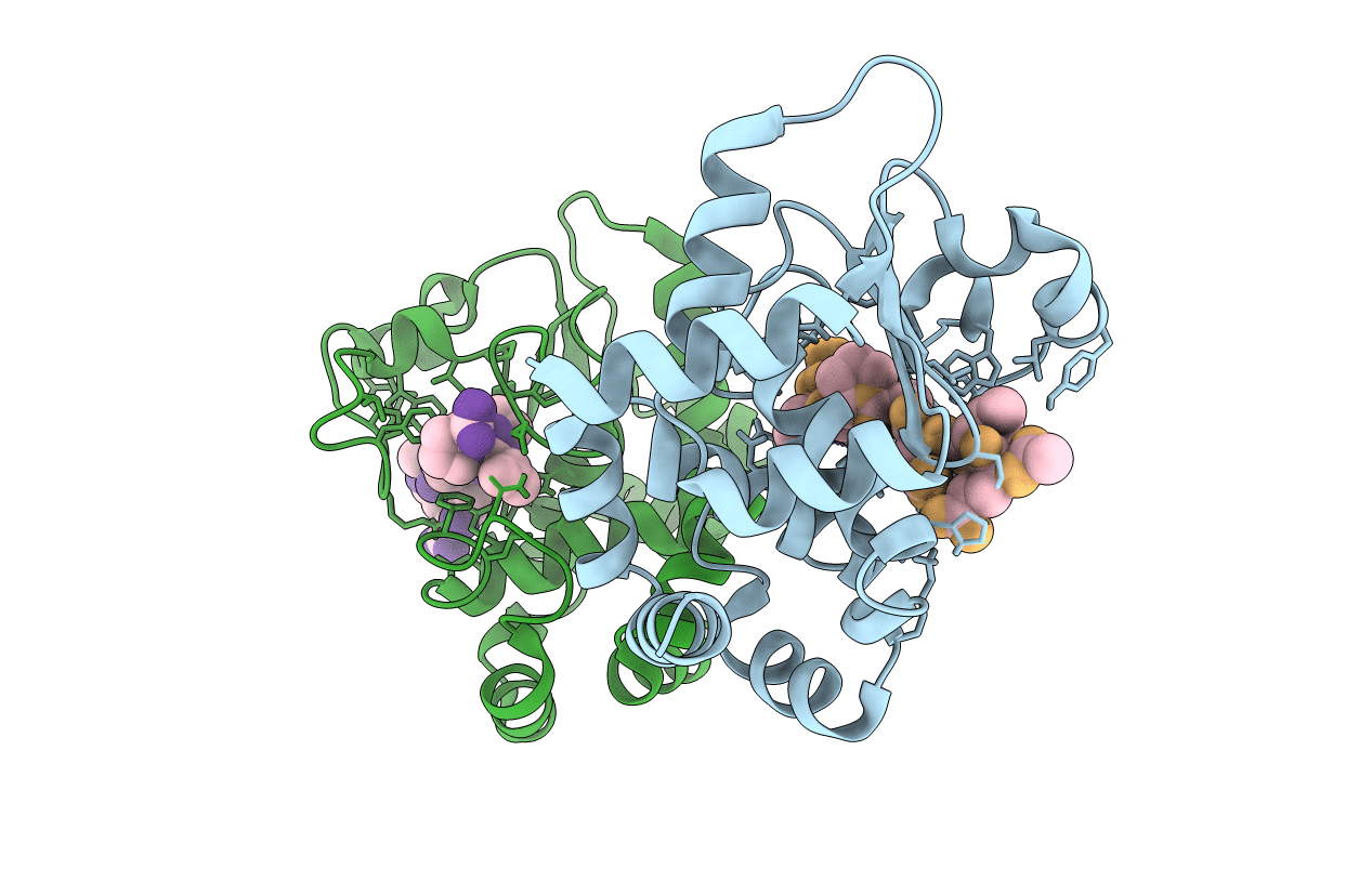 6R5C image