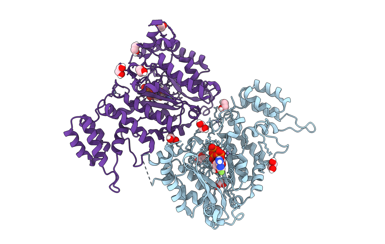 6R5E image