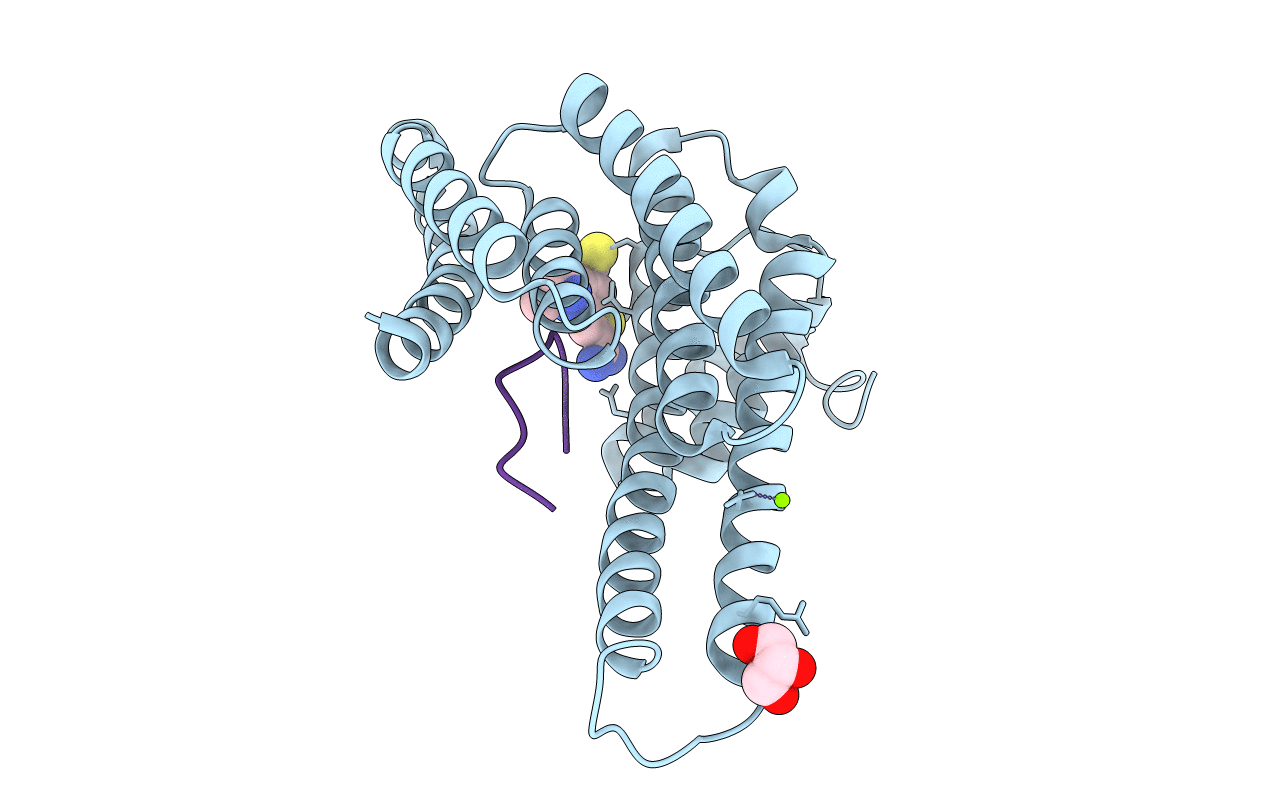 6R5L image