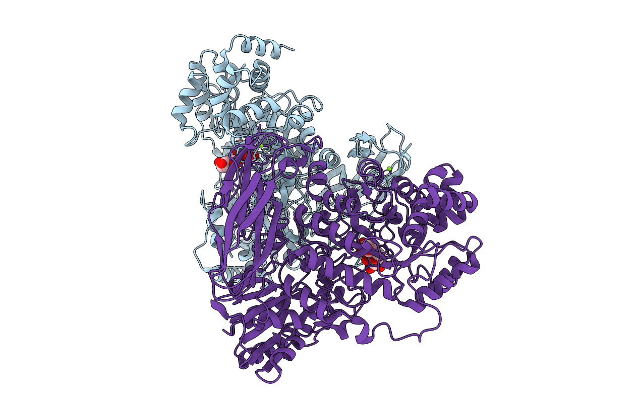 6R5O image