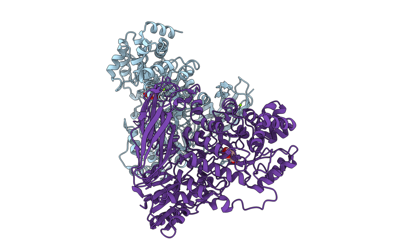 6R5P image