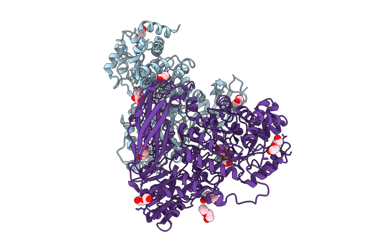 6R5R image