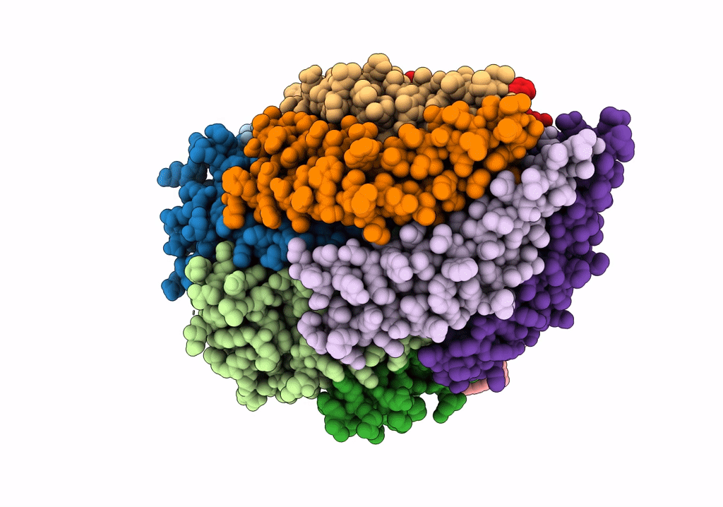 6R6B image
