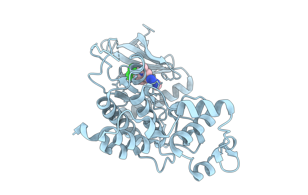 6R6E image