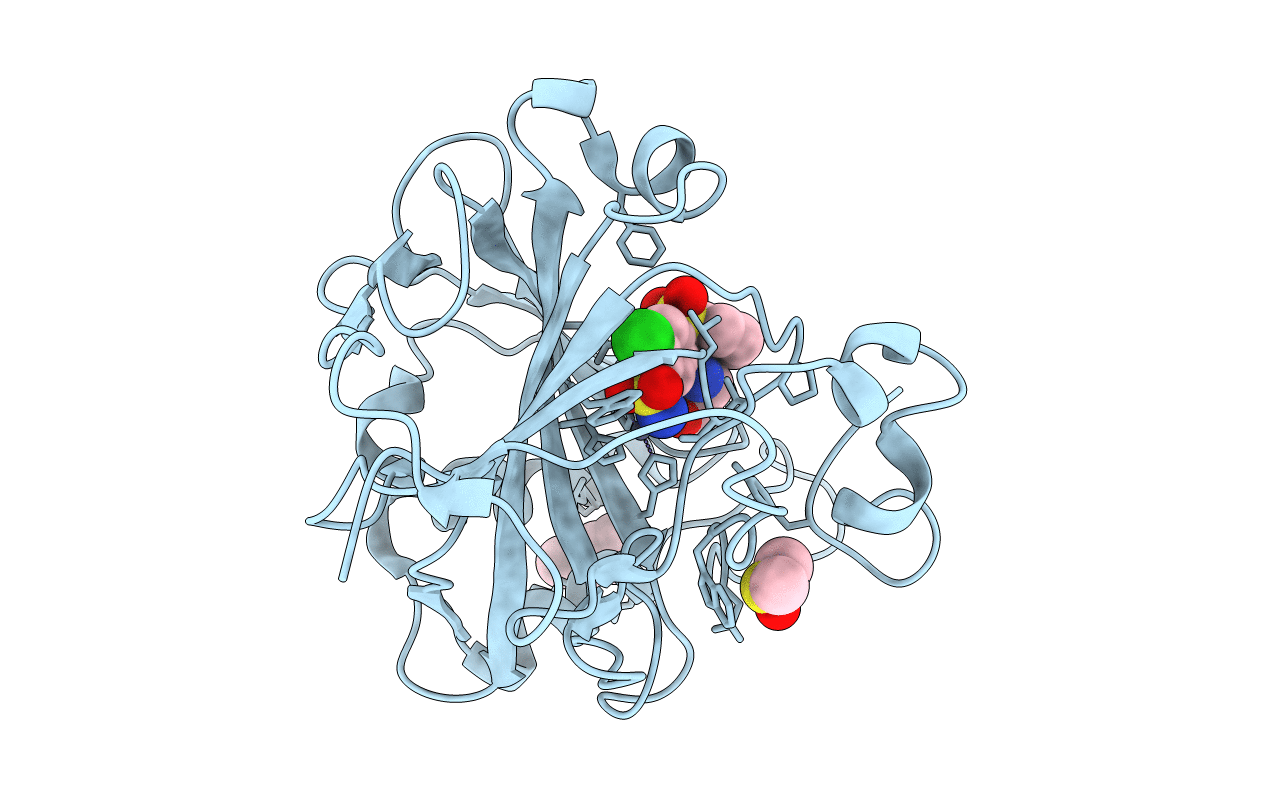 6R6J image