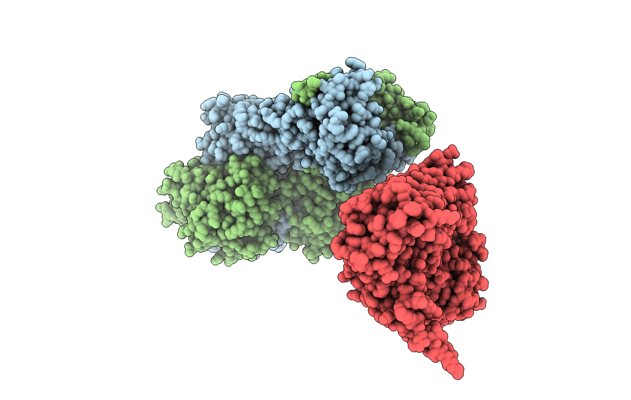 6R7B image