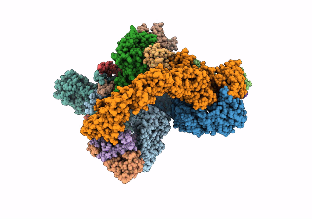 6R7I image