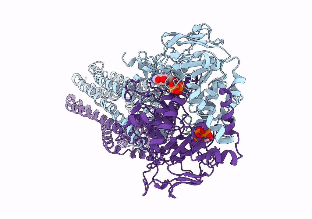 6R81 image