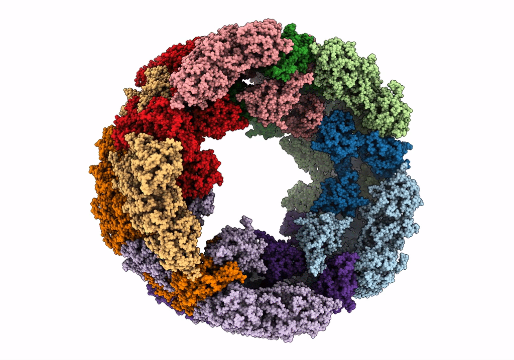 6R83 image