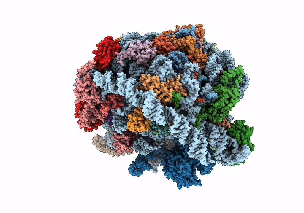 6R84 image