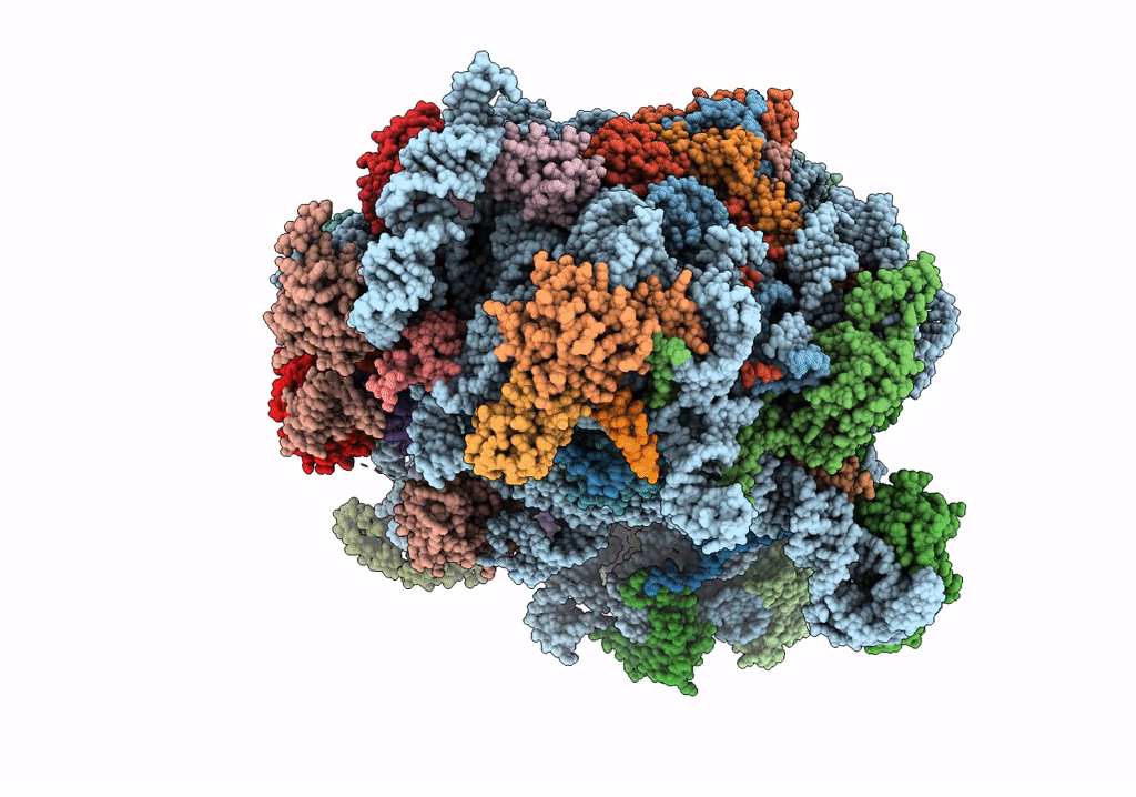 6R86 image