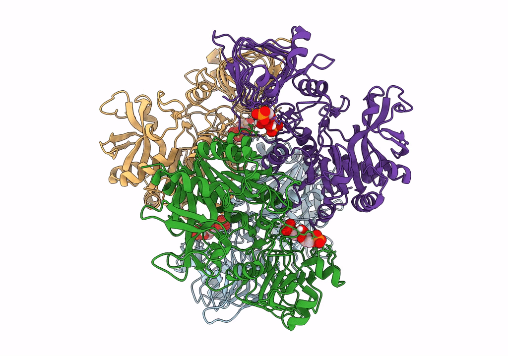 6R8B image