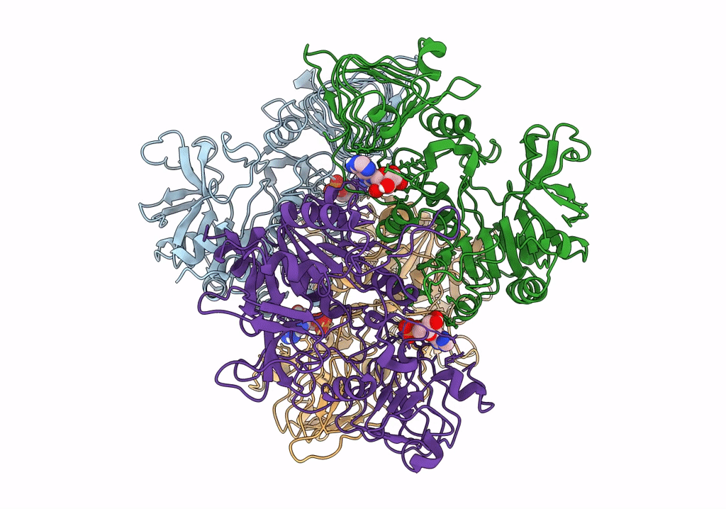 6R8U image