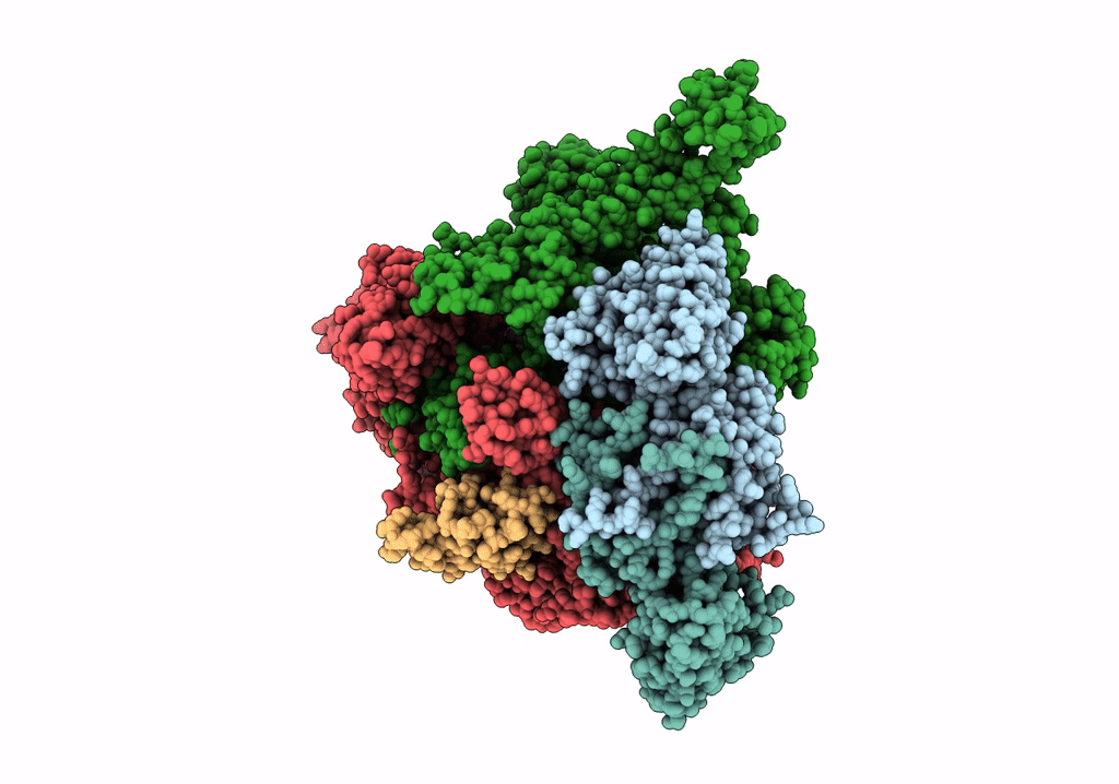 6R9B image