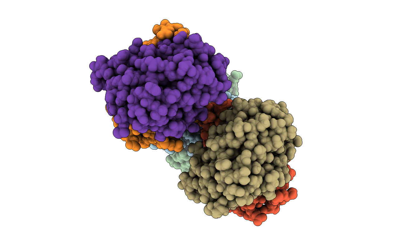 6R9D image
