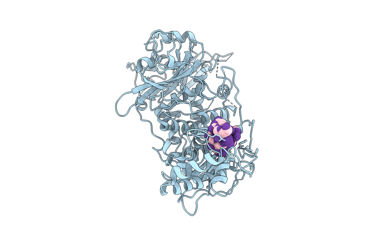 6R9P image
