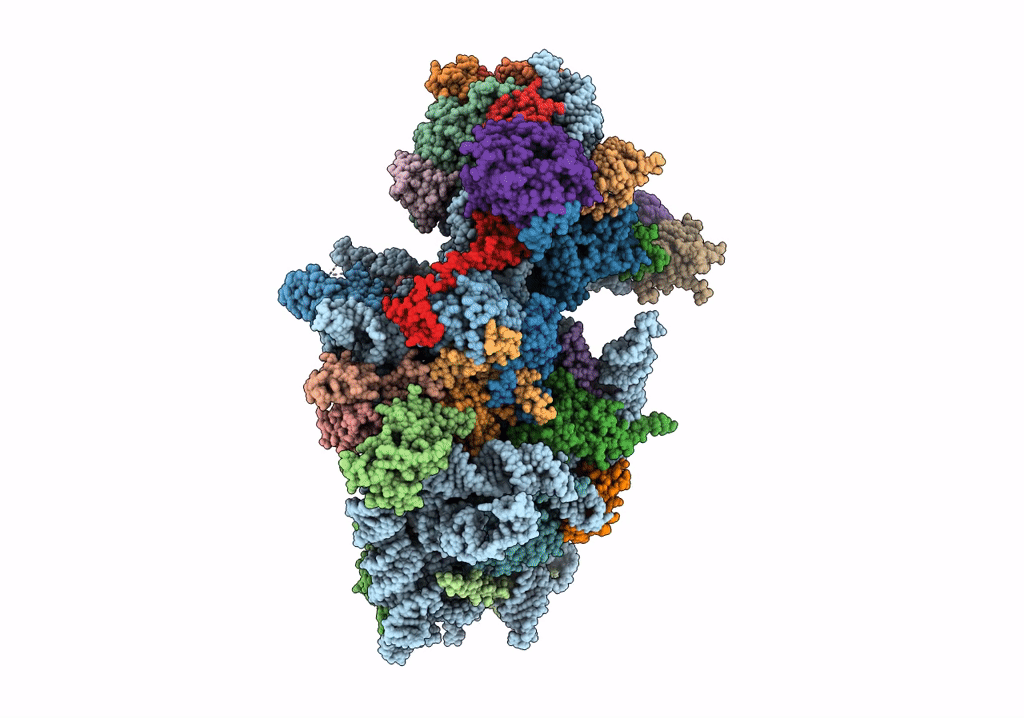 6RBE image