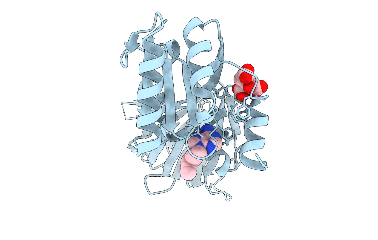 6RBO image