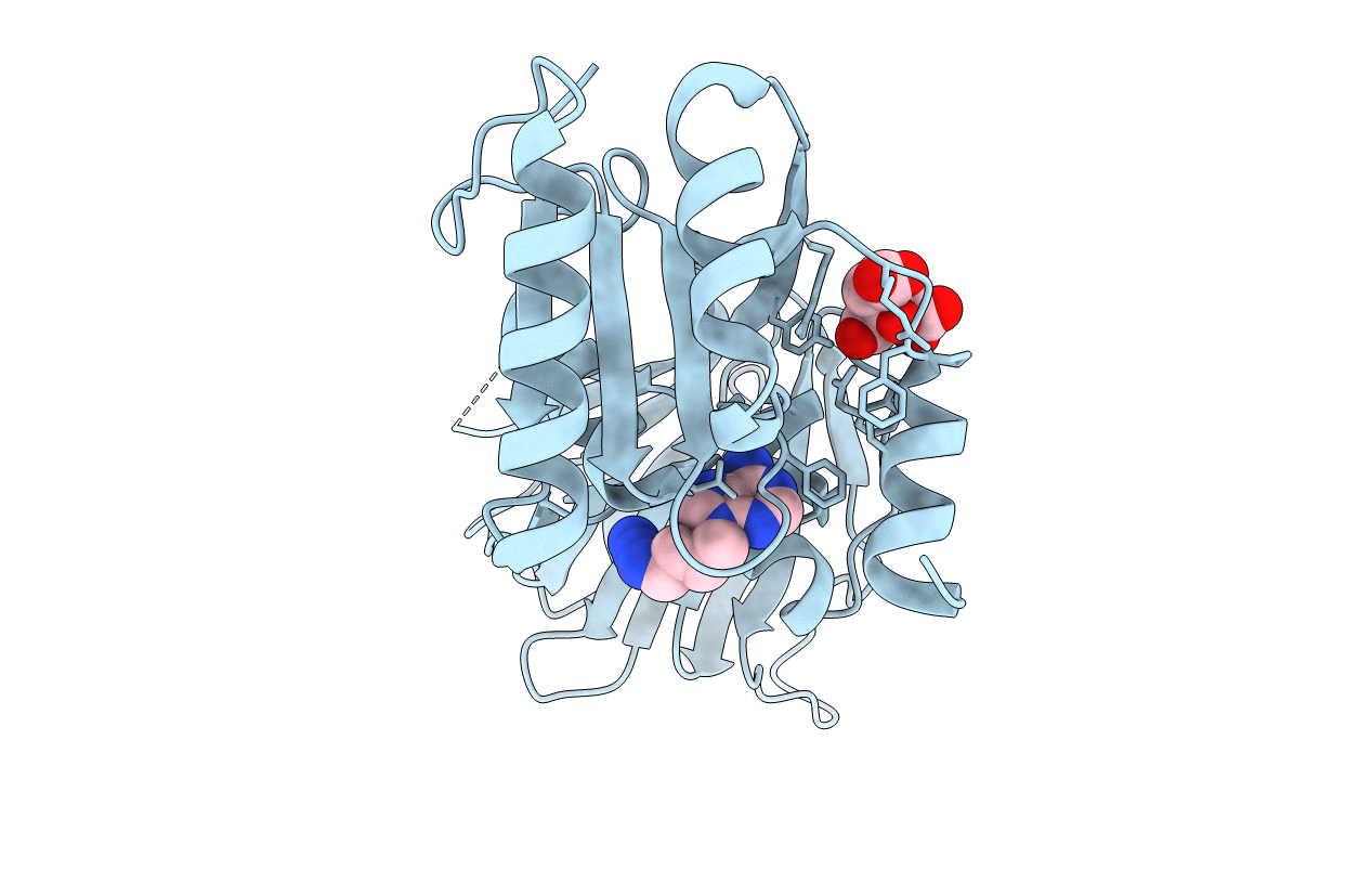 6RBP image