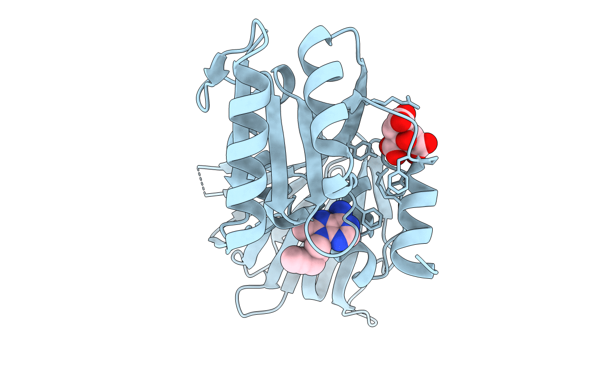 6RC2 image