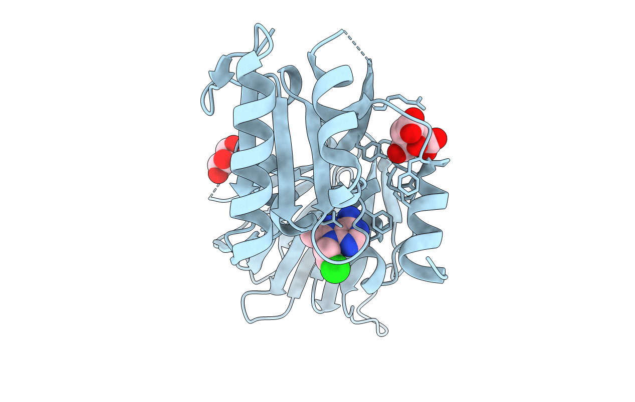 6RC3 image