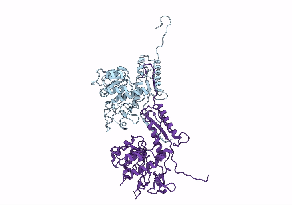 6RC8 image