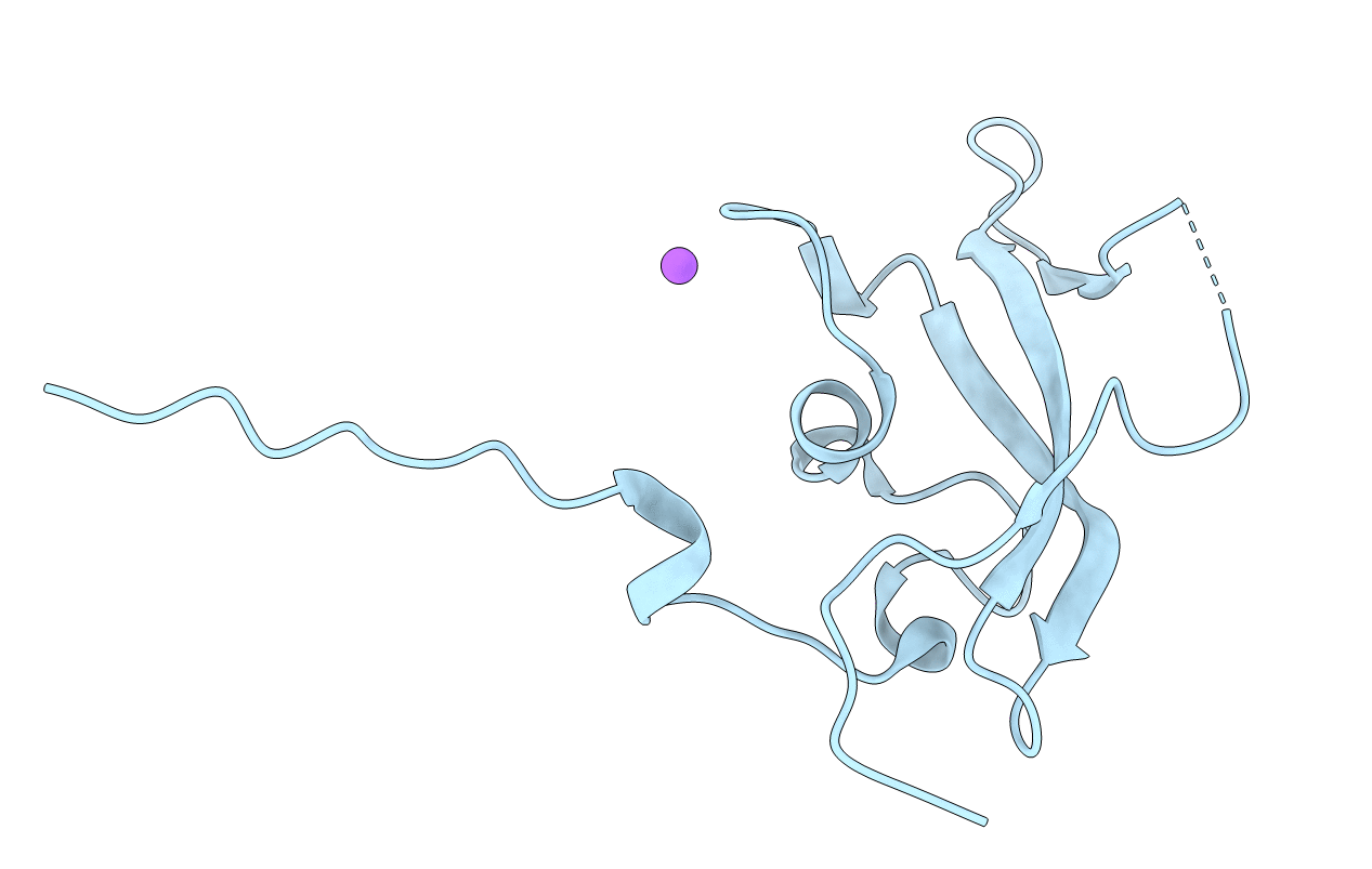 6RCC image