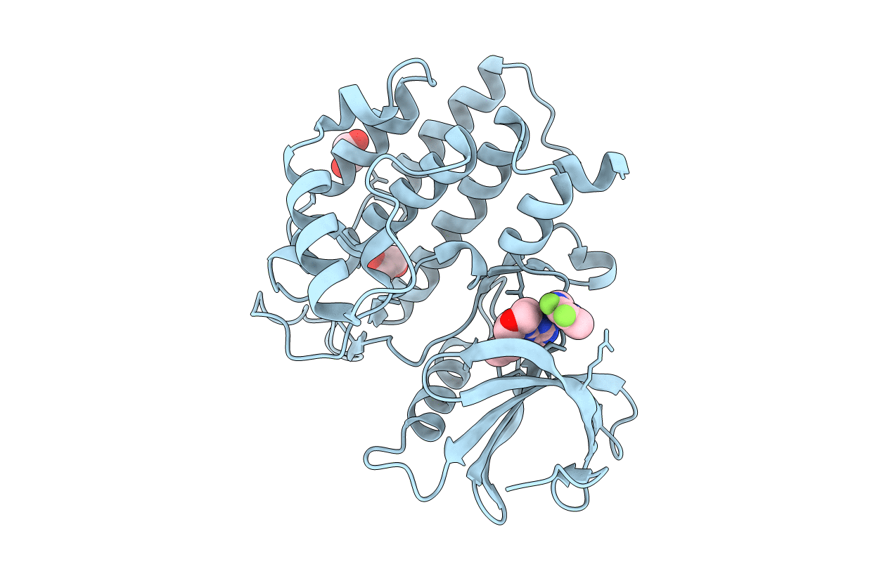 6RCG image
