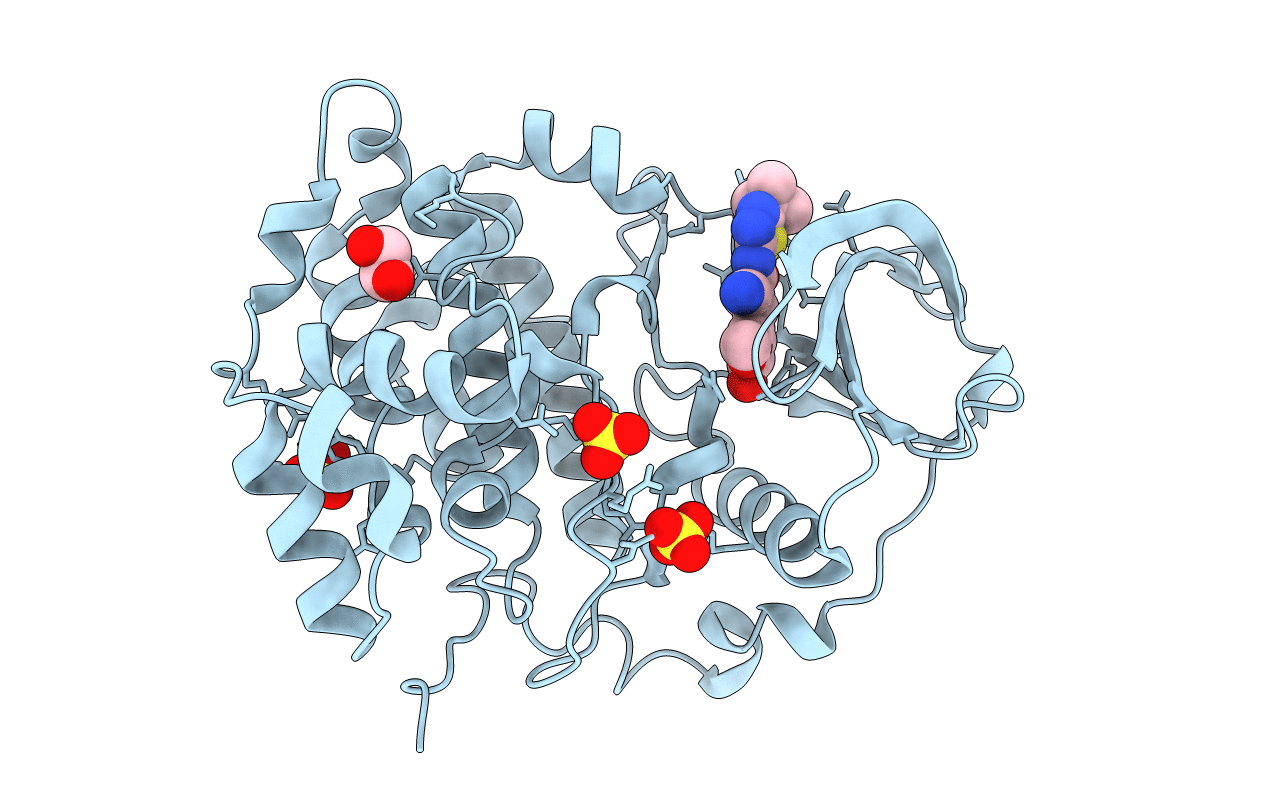 6RCM image