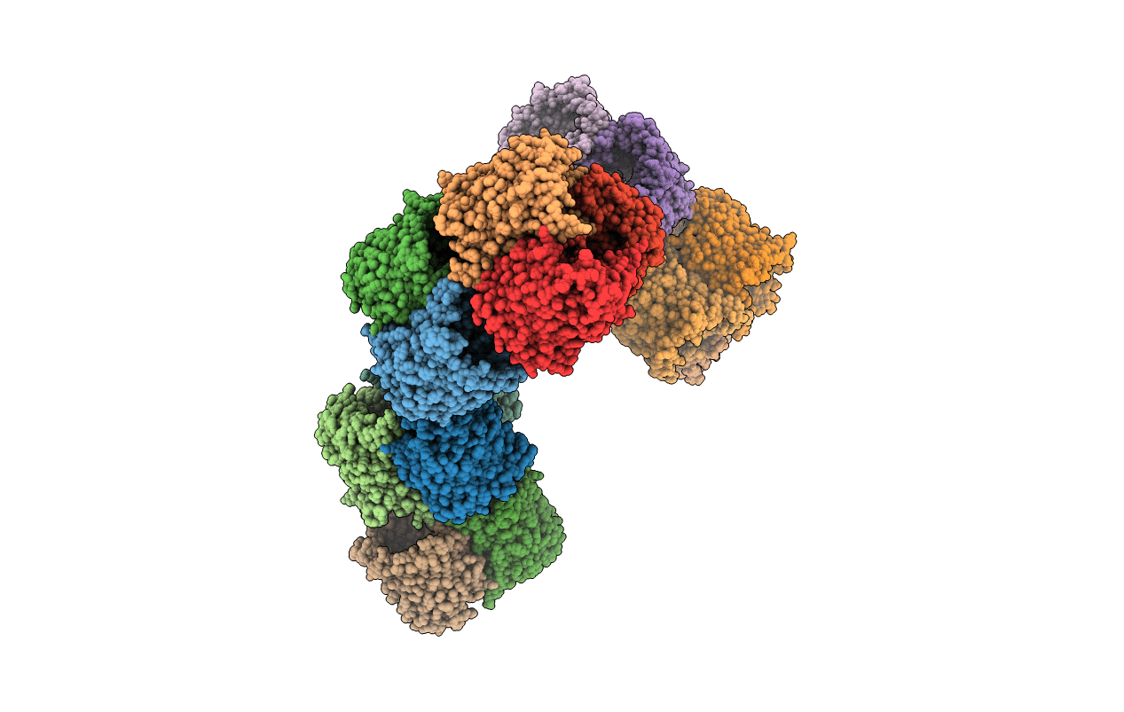 6RCP image