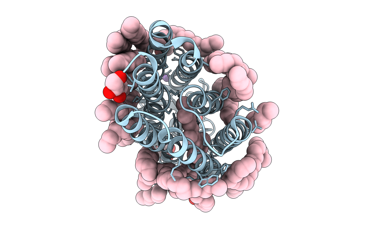6RFC image
