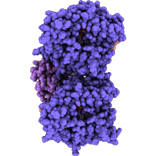 6RFD image